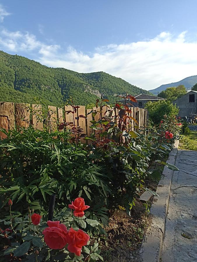 איג'באן Green Garden מראה חיצוני תמונה