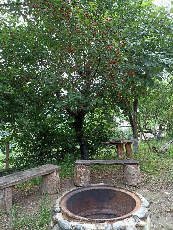 איג'באן Green Garden מראה חיצוני תמונה
