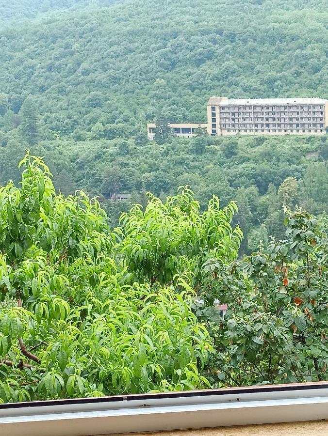 איג'באן Green Garden מראה חיצוני תמונה
